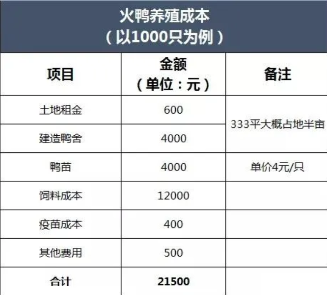 2024年火鴨市場規模分析：飼養1000隻火鴨投入總成本為21500元
